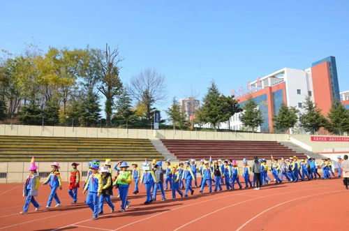 海量炫图 实验学校第一届小学数学文化节启动