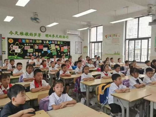 一碗大米见证中非友谊 杂交水稻在非洲的成长之旅