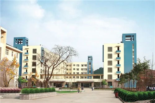 现代商贸中专 22年长沙市现代商贸中等职业学校电子商务简介