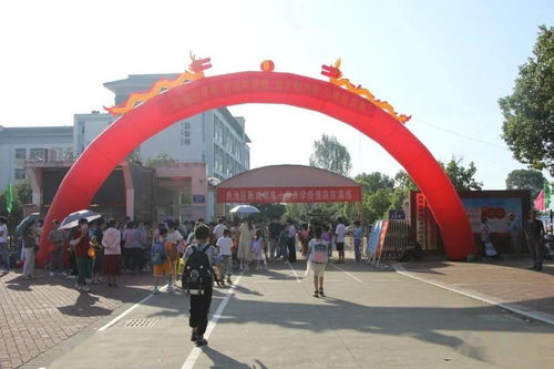 贵池各中小学校今日开学报名