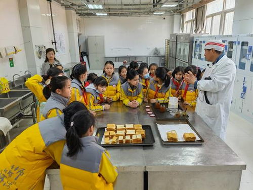 食品学院开展小学生科普教育,助力学校 科技之春 宣传活动